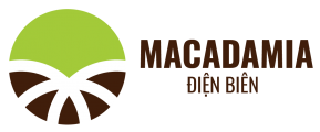 Logo Macadamia Dien Bien-01